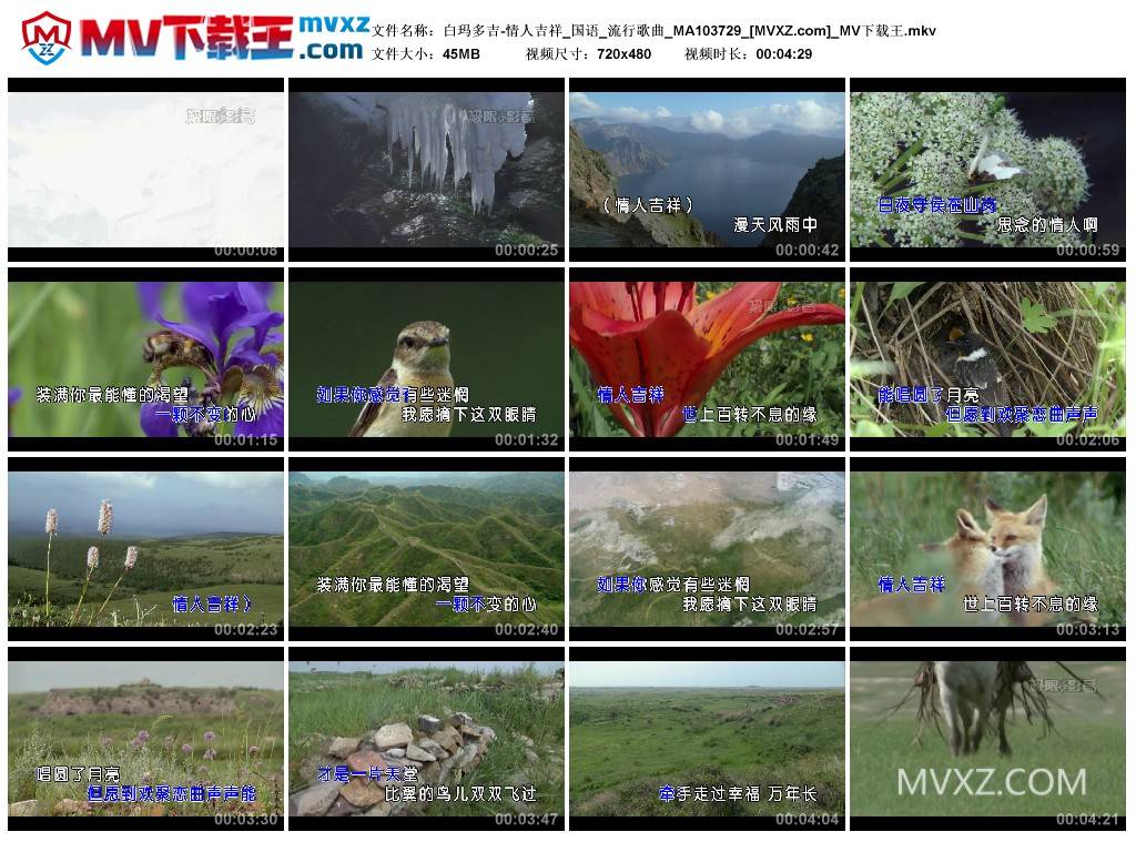 白玛多吉-情人吉祥_国语_流行歌曲_MA103729